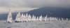 euromaster_alassio_2012_1239_small.jpg