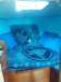 img20190204wa0027_small.jpg