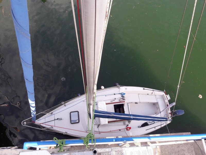 img20190204wa0033.jpg