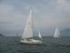 immagine124_small.jpg