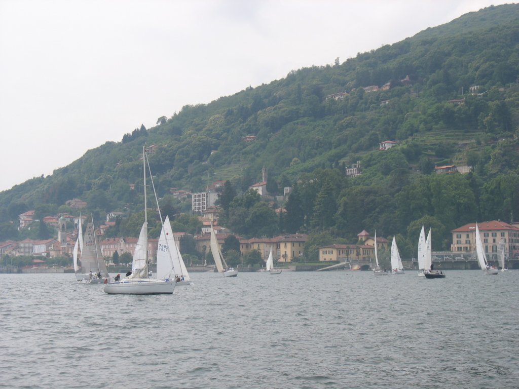 immagine151.jpg