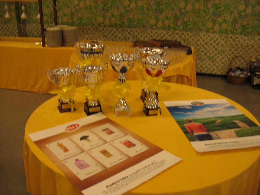 immagine249.jpg