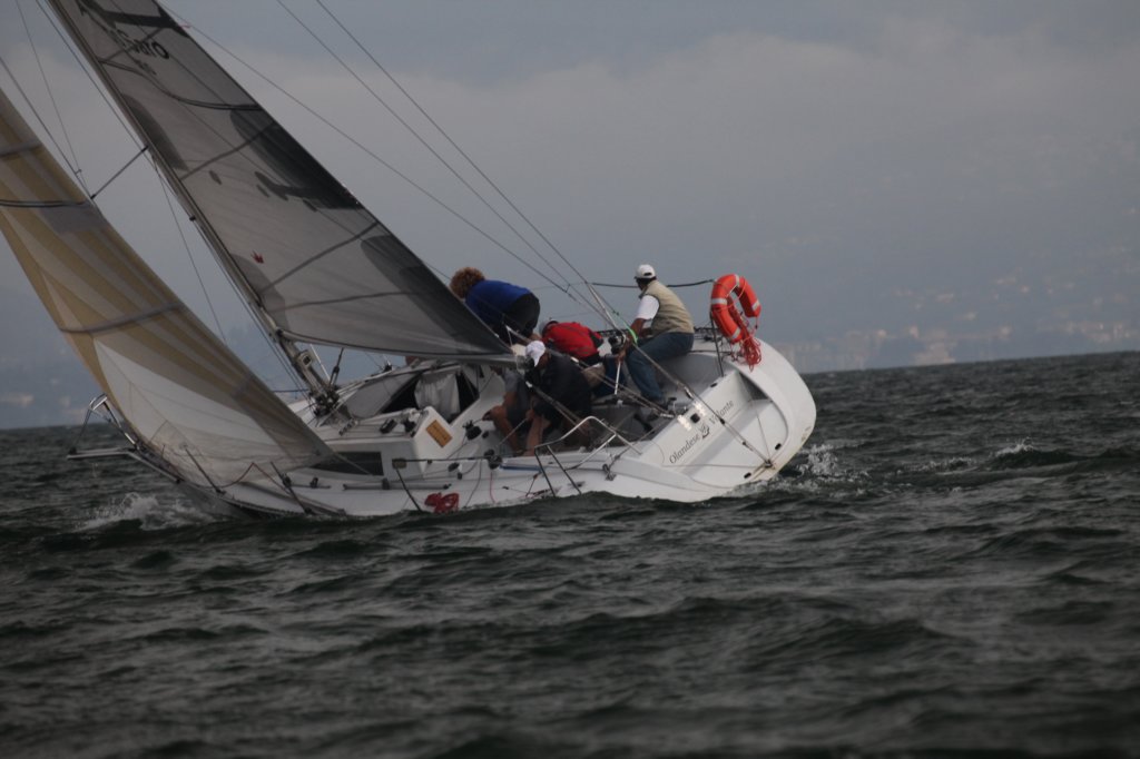 ispra12011015.jpg