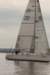 mazzarditibyleonardopetroli292_small.jpg