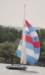 mazzarditiclassicbyleonardopetroli111_small.jpg