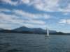 immagine099_small.jpg