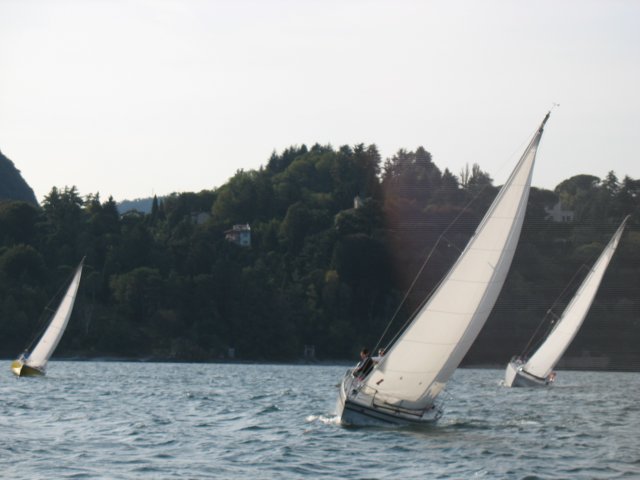 immagine116.jpg