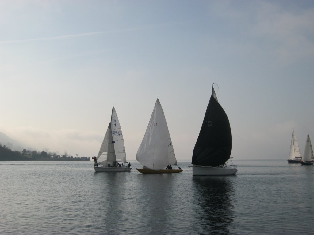 img_1229.jpg