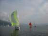 immagine087_small.jpg
