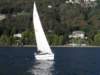 pa020061_small.jpg