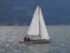p9050066_small.jpg