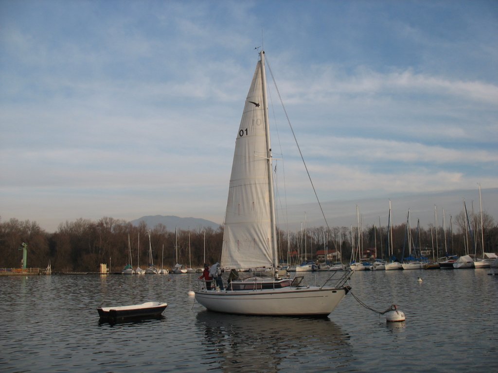 immagine056.jpg