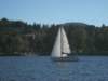 img_4034_small.jpg