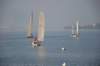 dsc_0472_small.jpg