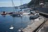 dsc_6581low_res_small.jpg