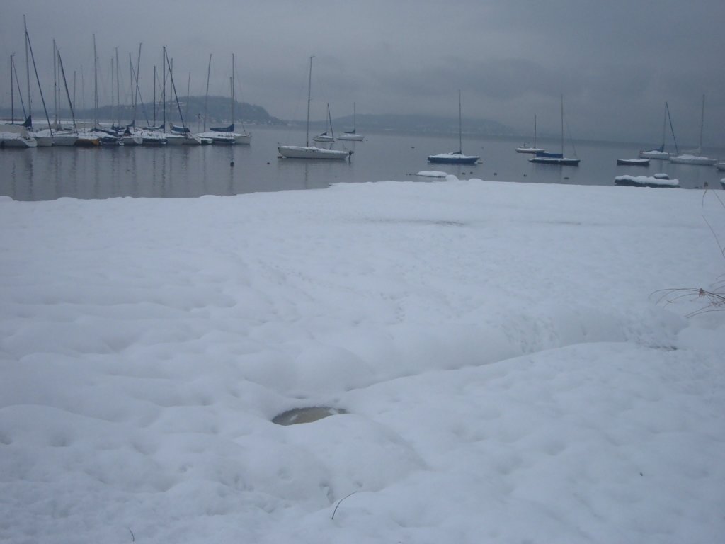 dscf7228.jpg