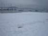 dscf7228_small.jpg