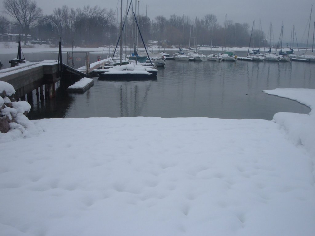 dscf7229.jpg