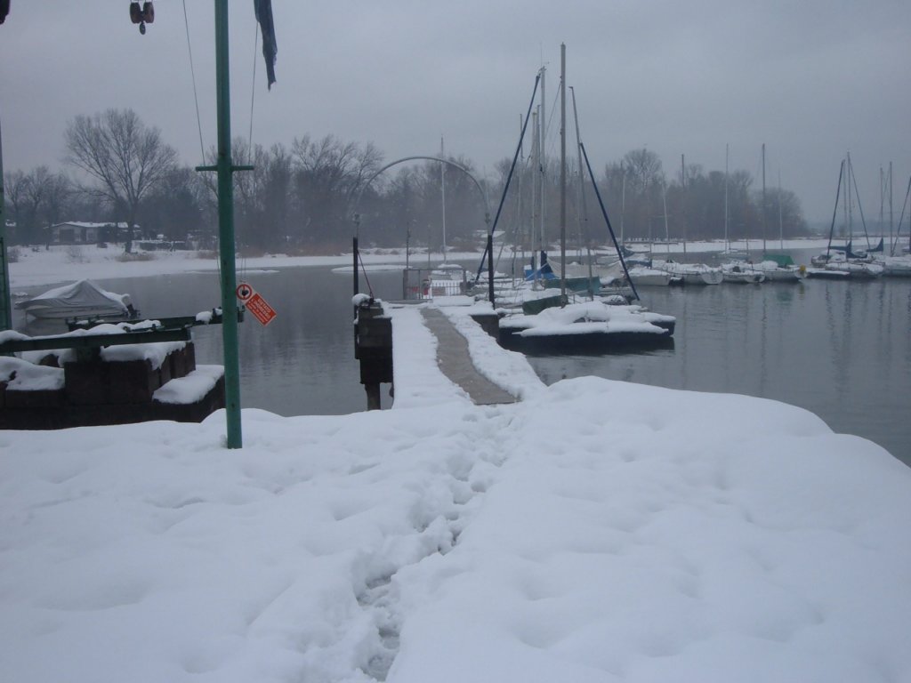 dscf7230.jpg
