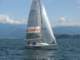 immagine126_small.jpg