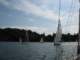 immagine136_small.jpg