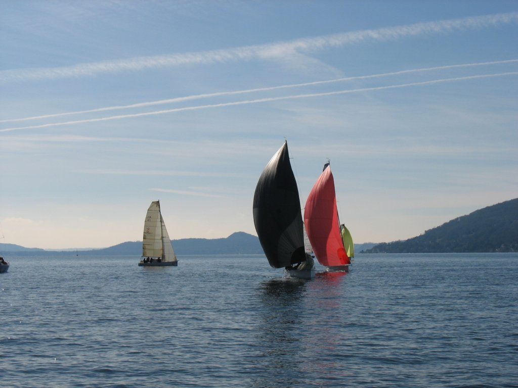 immagine169.jpg