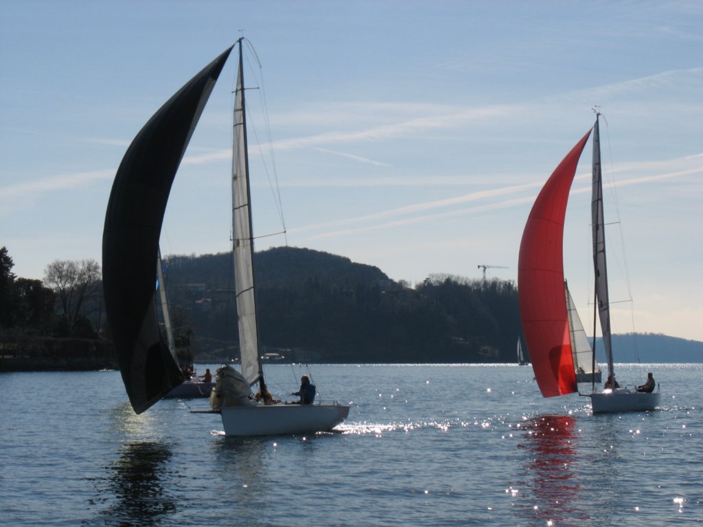 immagine172.jpg