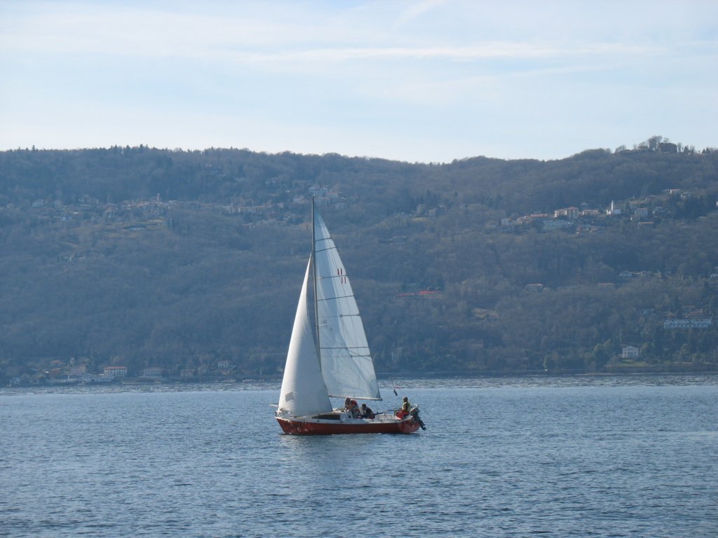 immagine197.jpg