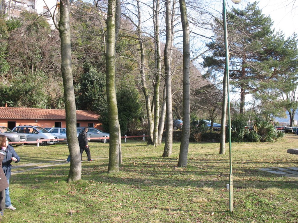 immagine226.jpg