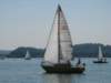immagine061_small.jpg