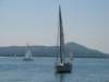 immagine064_small.jpg