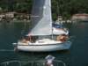 immagine071_small.jpg