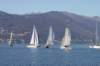 regata6marzo13_small.jpg