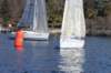 regata6marzo20_small.jpg