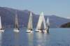 regata6marzo35_small.jpg