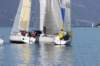 regata6marzo36_small.jpg