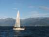 immagine060_small.jpg