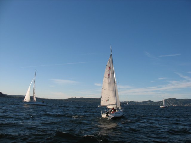 immagine065.jpg
