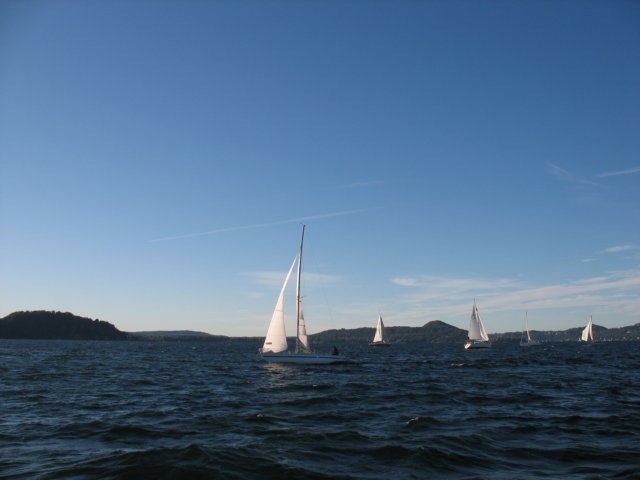 immagine067.jpg