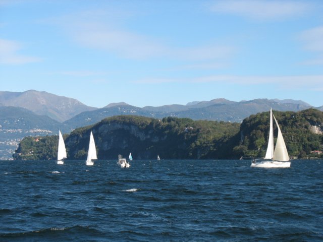 immagine099.jpg