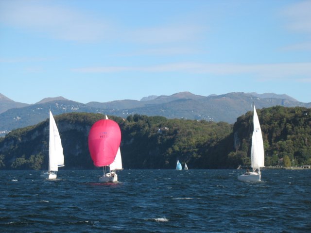 immagine102.jpg