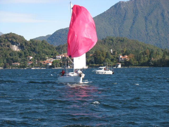 immagine104.jpg