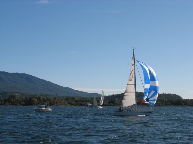 immagine113.jpg
