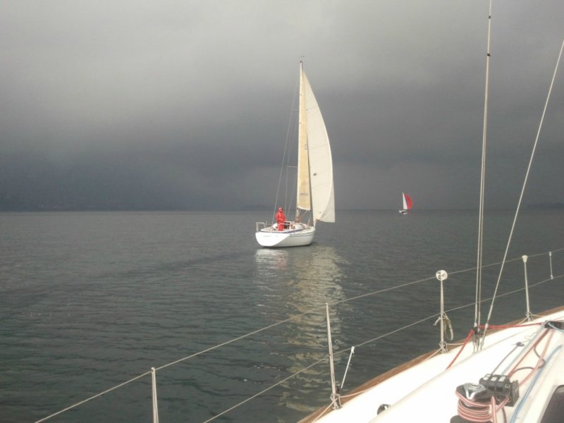 solo20124.jpg