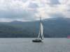 immagine037_small.jpg