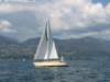 immagine039_small.jpg