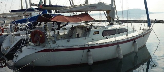 phoca_thumb_l_campernicholsonmurata.jpg