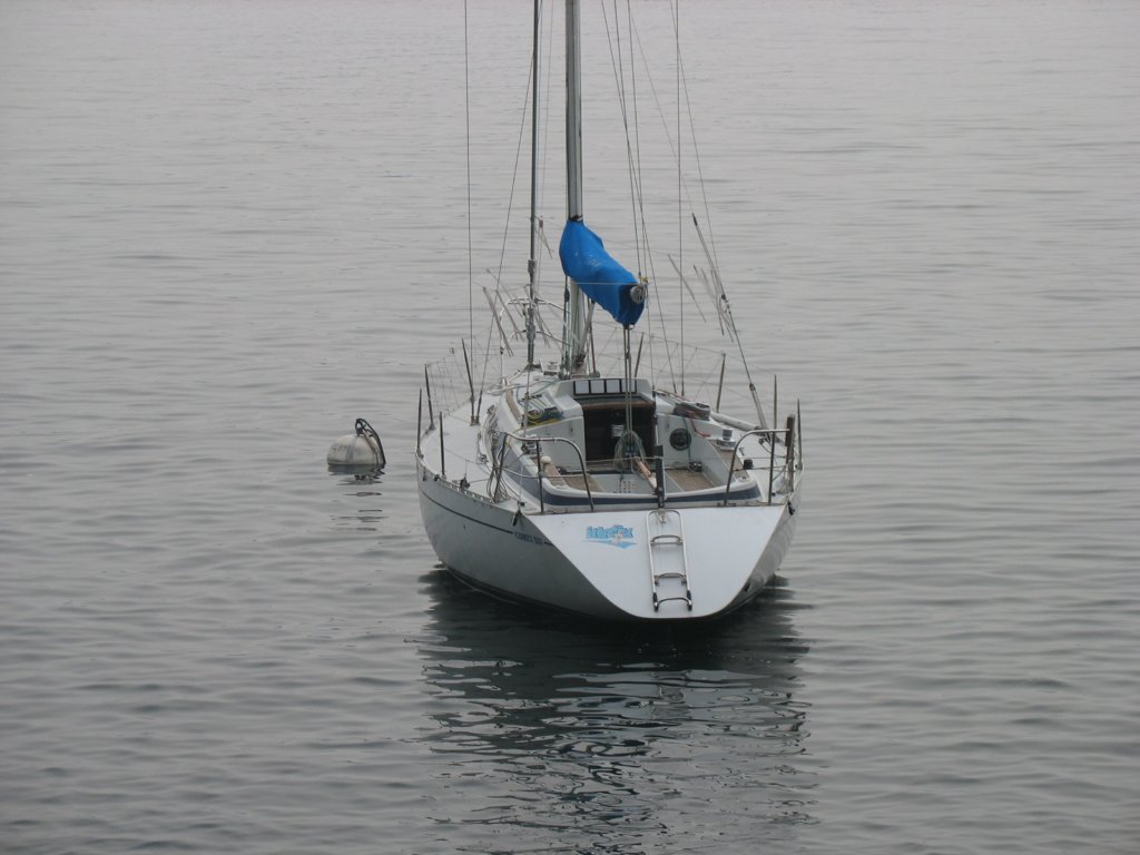 img_2363.jpg