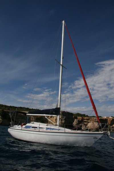 img_9446.jpg